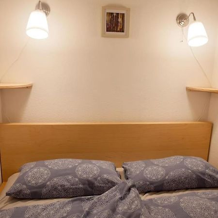 Gemuetliches 2P-Apartment In Ruhiger Lage Дрезден Екстериор снимка